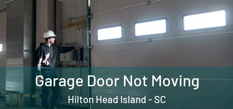  Garage Door Not Moving Hilton Head Island - SC