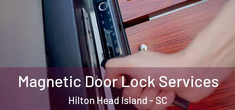 Magnetic Door Lock Services Hilton Head Island - SC